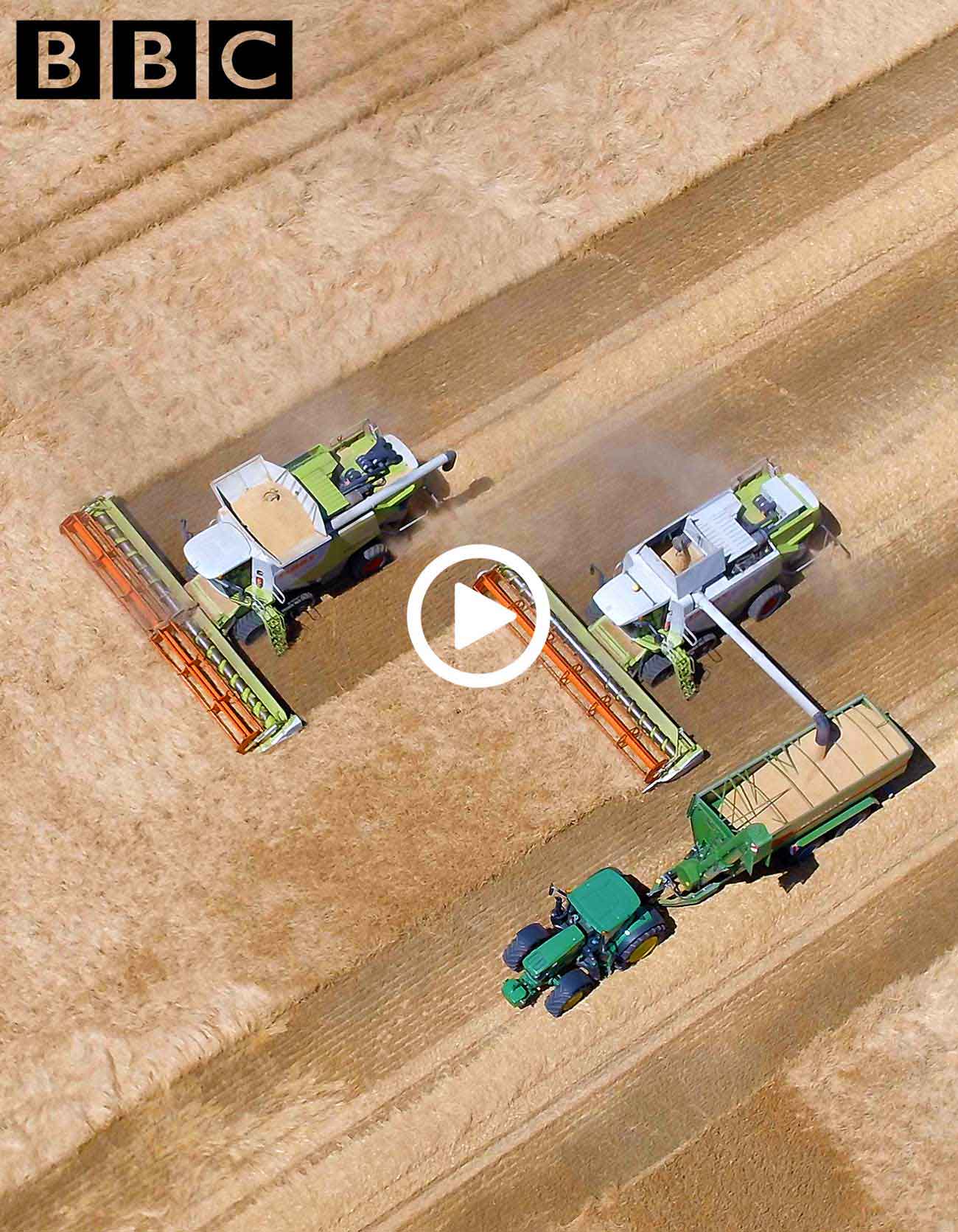 drone photo combine harvesters working in a field